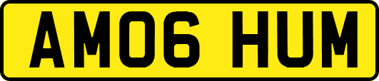 AM06HUM