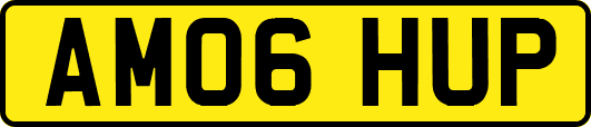 AM06HUP