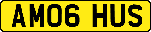 AM06HUS