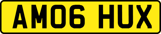 AM06HUX