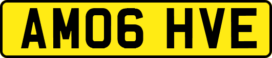 AM06HVE