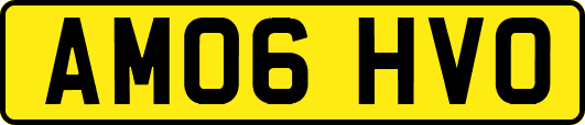 AM06HVO