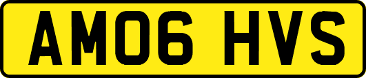 AM06HVS