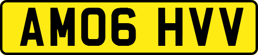 AM06HVV