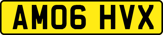 AM06HVX