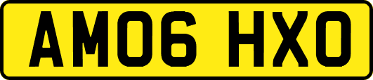 AM06HXO