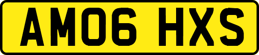 AM06HXS