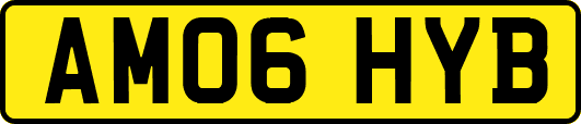 AM06HYB
