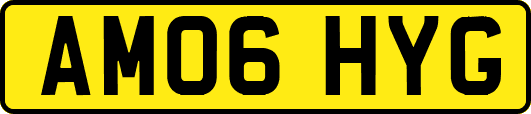 AM06HYG