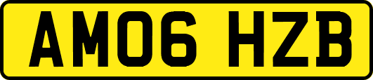 AM06HZB
