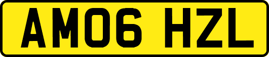AM06HZL