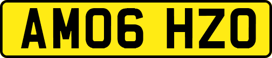 AM06HZO
