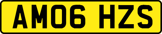 AM06HZS