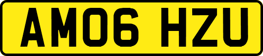 AM06HZU