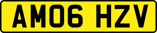 AM06HZV