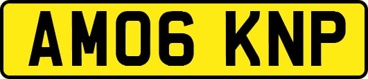 AM06KNP