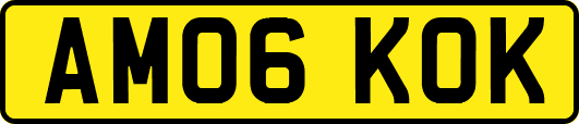 AM06KOK