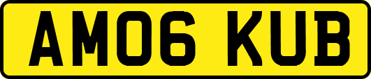AM06KUB