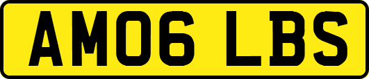 AM06LBS