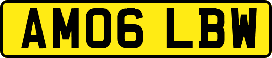 AM06LBW