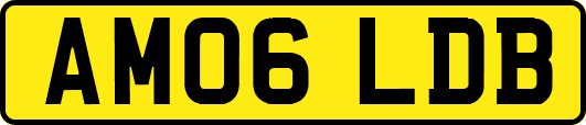 AM06LDB