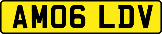 AM06LDV