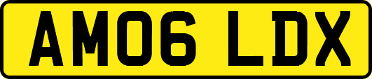 AM06LDX