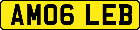AM06LEB