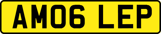 AM06LEP