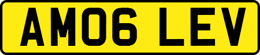 AM06LEV
