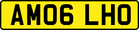 AM06LHO