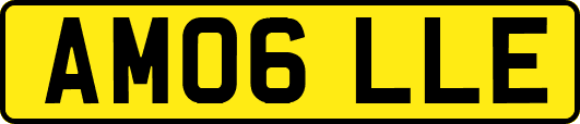 AM06LLE