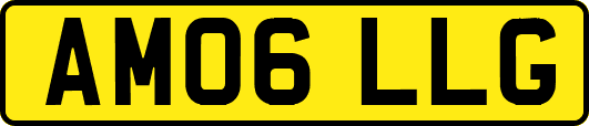 AM06LLG
