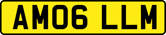 AM06LLM