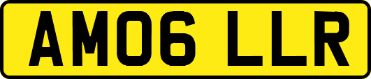 AM06LLR