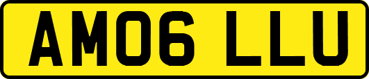 AM06LLU