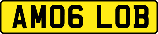 AM06LOB