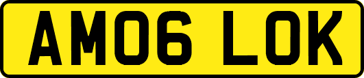 AM06LOK