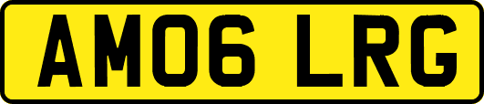 AM06LRG
