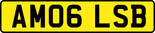 AM06LSB