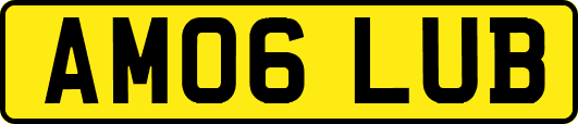 AM06LUB