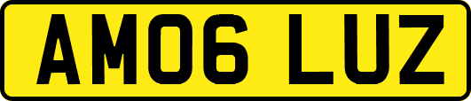 AM06LUZ