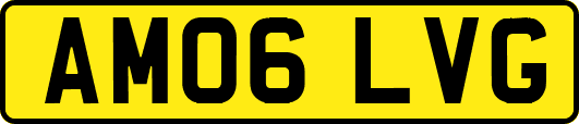 AM06LVG