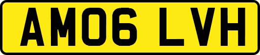 AM06LVH