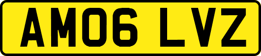 AM06LVZ