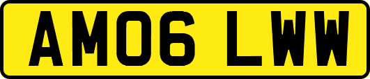 AM06LWW