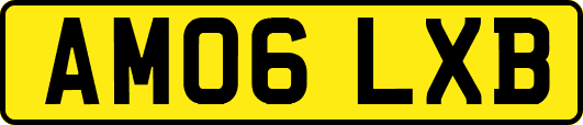 AM06LXB