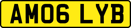 AM06LYB