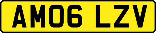 AM06LZV