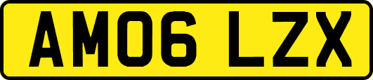 AM06LZX